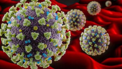 Photo of Urgente: França detecta nova variante “IHU” do novo Coronavírus
