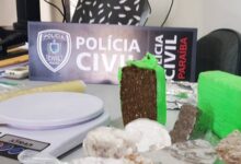 Photo of Polícia prende mulheres por tráfico de drogas em Coremas