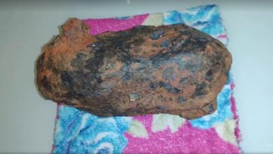 Photo of Meteorito achado em Nova Olinda era usado como enfeite de mesa