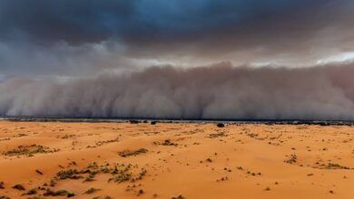 Photo of Nuvem de areia do deserto do Saara deve chegar ao Brasil nos próximos dias