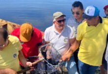Photo of ASSISTA : Piscicultura de Itaporanga completa 36 anos na produção de peixes no Vale do Piancó