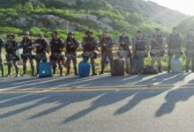 Photo of Polícia apreende sacos cheios de droga em Catingueira