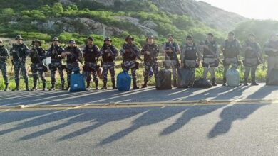 Photo of Polícia apreende sacos cheios de droga em Catingueira