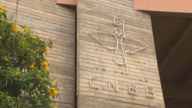 Photo of CNBB critica revogação de portaria do Ministério da Saúde sobre aborto