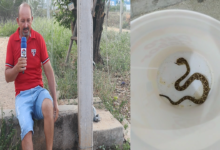 Photo of ASSISTA: Em busca de socorro em Itaporanga , homem leva cobra cascavel morta a hospital após ser picado e ficar sem enxergar