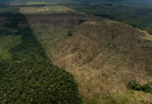 Photo of Em duas semanas, desmatamento na Amazônia já bate recorde para fevereiro