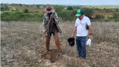 Photo of Governo constrói barragem subterrânea e incentiva agricultura familiar