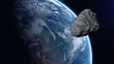 Photo of Asteroide do tamanho de 90 elefantes passará ‘próximo’ da Terra na quinta-feira