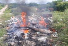 Photo of Moradores de Piancó denunciam queimadas de lixo na zona urbana da cidade