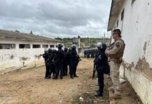 Photo of Polícia Federal deflagra operação contra o tráfico de drogas dentro do Presídio Serrotão