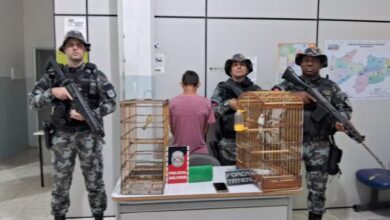 Photo of Em Coremas, Polícia Militar prende traficante, aprende drogas e pássaros silvestres