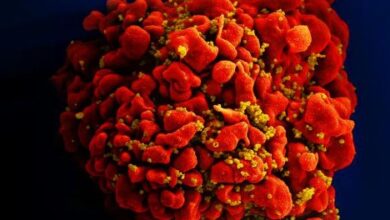 Photo of Cientistas anunciam novo caso de remissão do HIV após transplante de medula óssea