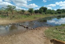 Photo of Pouca água do rio Piancó compromete abastecimento em Boa Ventura