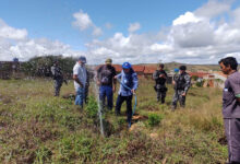 Photo of Cagepa e PM realizam ação para combater furto de água em adutora em Pedra Branca