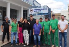 Photo of ASSISTA: Prefeitura de Itaporanga lança programa visando a captura de animais de médio e grande portes em vias urbanas