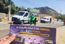 Photo of Prefeitura de Itaporanga realiza campanha educativa para  conscientizar todos a  proteger os animais e evitar a soltura em vias públicas