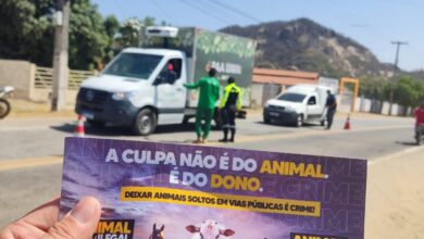 Photo of Prefeitura de Itaporanga realiza campanha educativa para  conscientizar todos a  proteger os animais e evitar a soltura em vias públicas