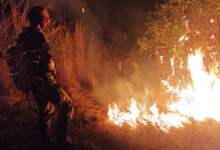 Photo of Força- tarefa tenta controlar incêndio no entorno de Parque próximo a cidade de Aguiar