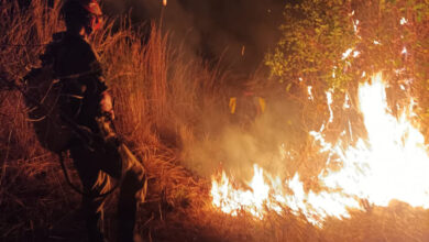 Photo of Força- tarefa tenta controlar incêndio no entorno de Parque próximo a cidade de Aguiar