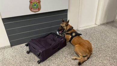 Photo of PF prende brasileiros que traficavam cocaína para a Europa