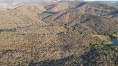 Photo of Depois de duas semanas, força-tarefa apaga incêndio na Serra da Santa Catarina em Aguiar