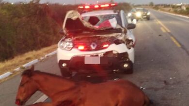 Photo of Viatura da Polícia Militar fica destruída após se chocar com cavalo na BR-230, no Sertão
