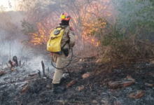 Photo of Quase 240 hectares foram queimados em incêndio no Sertão, diz Bombeiros