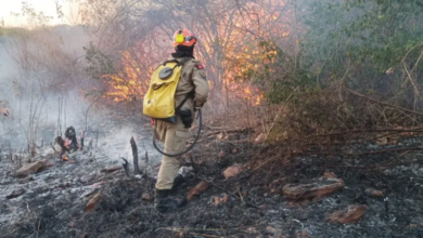 Photo of Quase 240 hectares foram queimados em incêndio no Sertão, diz Bombeiros