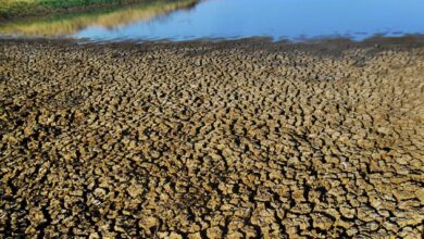 Photo of Seca: Inmet emite alerta laranja devido ao clima excessivamente seco em Itaporanga e em cidades do Vale do piancó