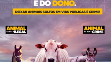 Photo of Prefeitura de Itaporanga lamenta matéria “Maldosa”, e expõe a verdade sobre projeto de Lei de apreensão e abate de animais