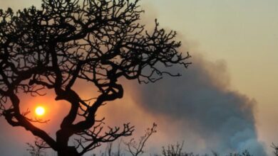 Photo of Municípios do Sertão recebem alerta por baixa umidade e risco de incêndios