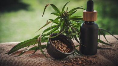 Photo of Ipec: 69% dos brasileiros são contra descriminalizar maconha para uso pessoal