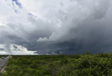 Photo of Década de chuvas no Nordeste: Especialista descarta secas severas