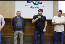 Photo of ASSISTA: Parceria entre prefeitura de Itaporanga e EMBRAPA em Campina Grande, discutem a volta da  cultura do algodão na região do Vale do Piancó