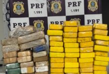 Photo of Homem é preso e 69 kg de drogas são apreendidas durante fiscalização da PRF na BR-230 em Patos