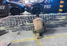 Photo of Motorista é preso transportando mais de R$ 45 milhões em cocaína, no Litoral Sul