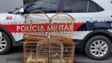 Photo of Polícia Militar apreende aves mantidas em cativeiro e conduz mulher a delegacia em Coremas