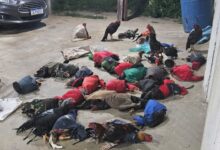 Photo of Grupo que planejava rinha de galos é preso no Sertão; 35 animais são resgatados