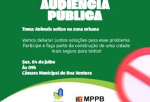 Photo of Ministério Público e Prefeitura de Boa Ventura realizarão audiência pública sobre animais soltos nas ruas