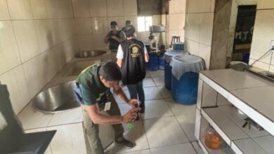 Photo of Operação interdita queijeira clandestina que utilizava equipamentos enferrujados no Brejo da Paraíba