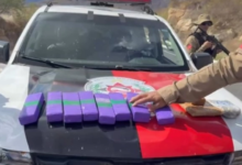 Photo of Polícia prende traficante e apreende drogas em Serra Grande