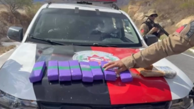 Photo of Polícia prende traficante e apreende drogas em Serra Grande