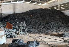 Photo of Prefeitura de Itaporanga realiza doação de mangueiras para irrigação por gotejamento para agricultores