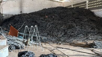 Photo of Prefeitura de Itaporanga realiza doação de mangueiras para irrigação por gotejamento para agricultores