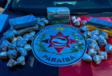Photo of Operação apreende drogas avaliadas em R$ 200 mil na PB