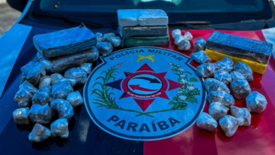 Photo of Operação apreende drogas avaliadas em R$ 200 mil na PB
