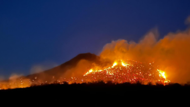 Photo of Corpo de Bombeiros tenta controlar incêndio no Sertão do Estado há 48 horas