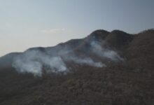 Photo of Incêndio na Serra do Cruzeiro, no Sertão, já consumiu 50% da vegetação nativa