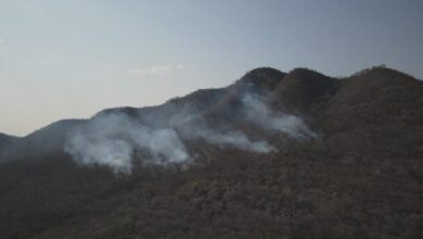 Photo of Incêndio na Serra do Cruzeiro, no Sertão, já consumiu 50% da vegetação nativa