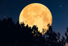 Photo of 2ª superlua do ano poderá ser vista nesta semana; saiba como observar